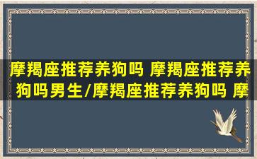 摩羯座推荐养狗吗 摩羯座推荐养狗吗男生/摩羯座推荐养狗吗 摩羯座推荐养狗吗男生-我的网站